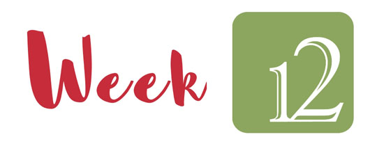 Temporada 2019: Previas de la semana 12